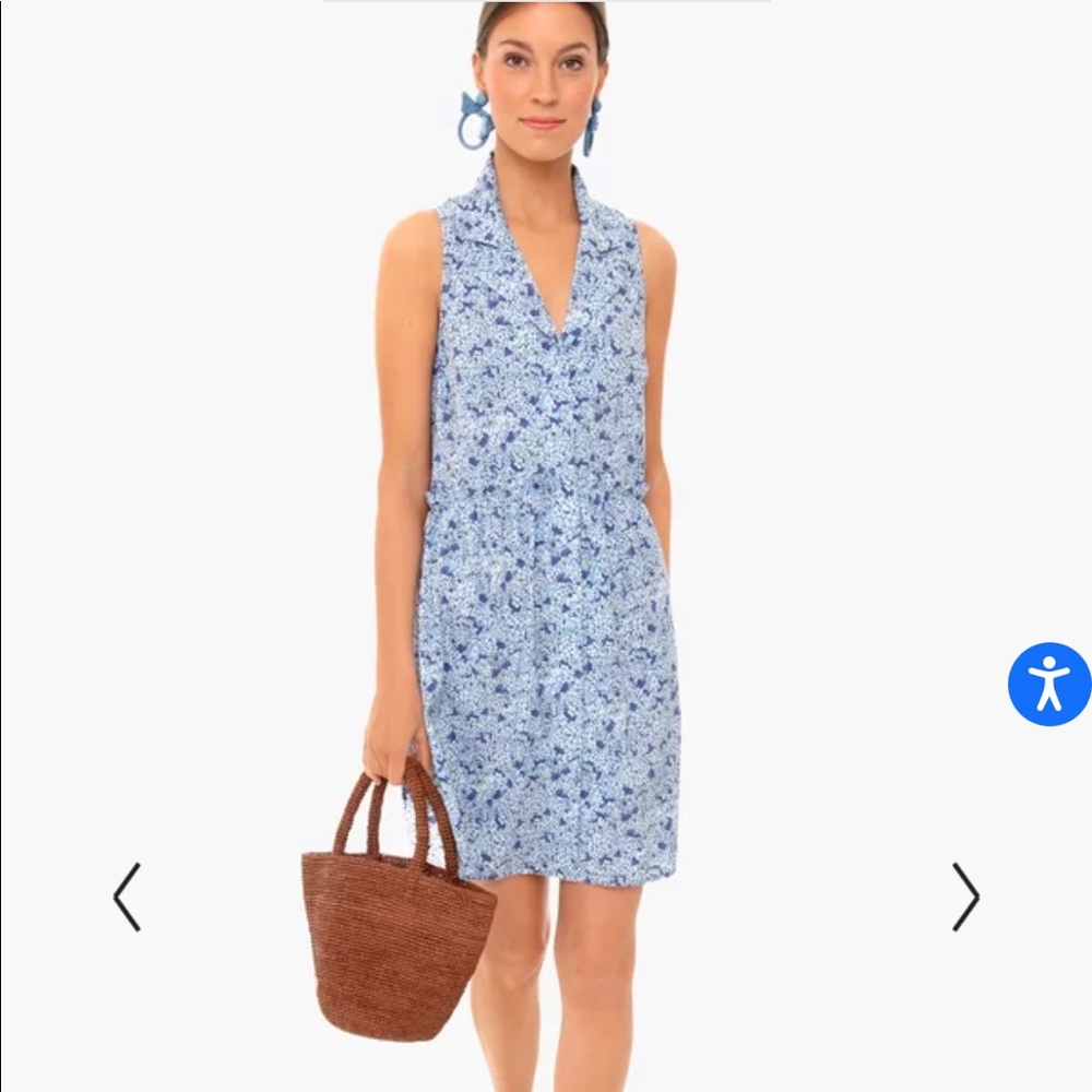 Tuckernuck dress, tags on never worn